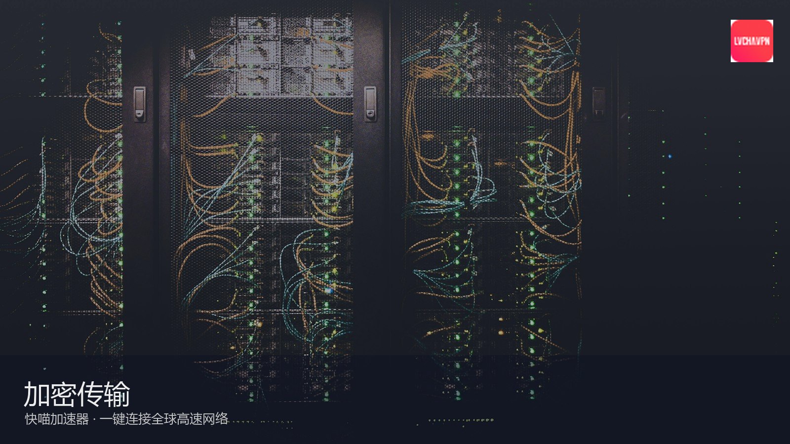 快喵 APP — 营业执照与资质公示示意配图